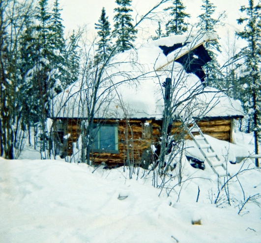 Log Cabin in Alaska