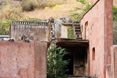 Lost Place in Jaipur, Rajasthan, Indien